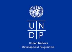 Effective Development Cooperation Intern, United Nations Development Programme (Remote)